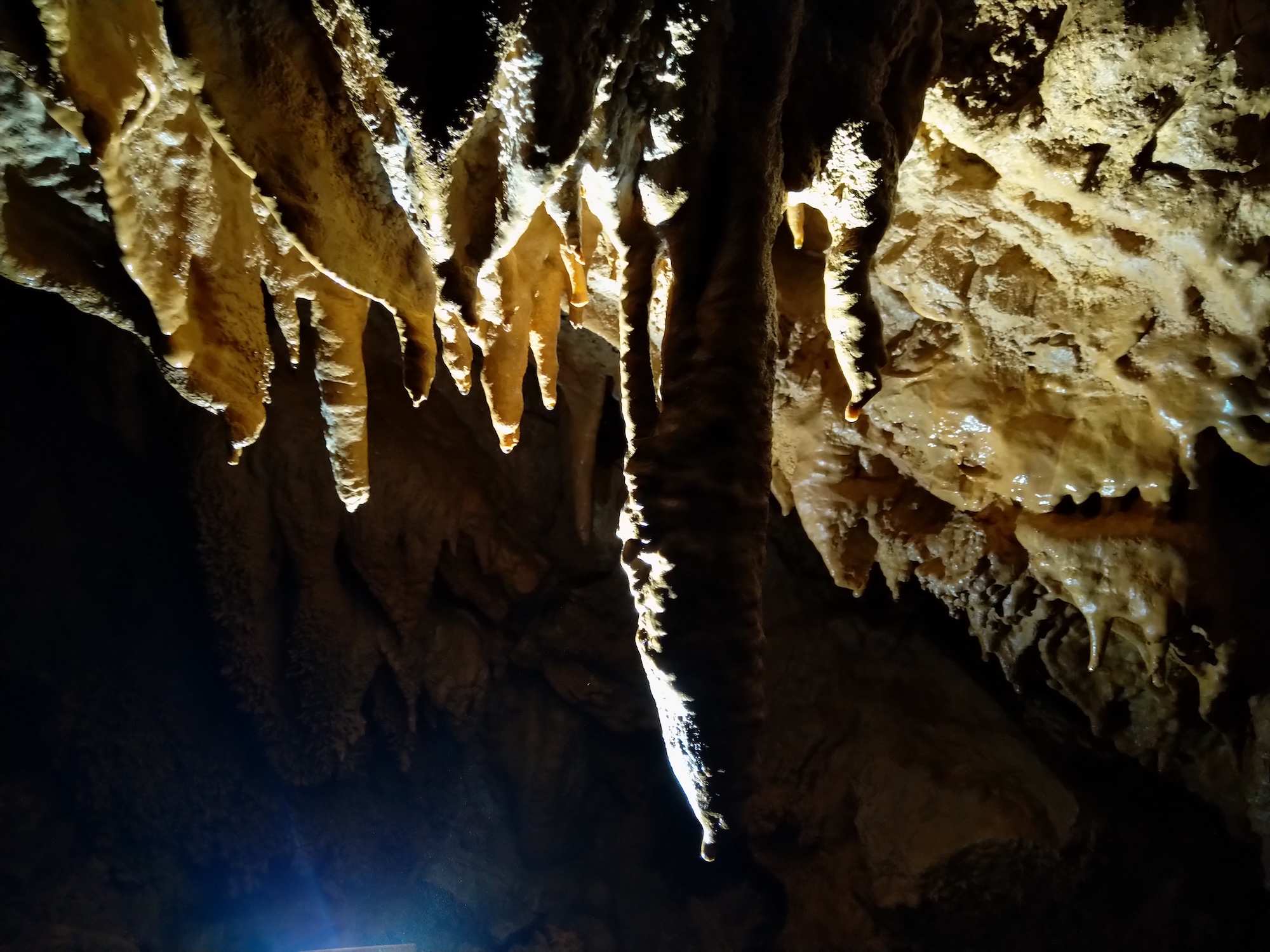 Peștera Nr.8 din Valea Toplița (Avenul Salamandrei) - Image 5